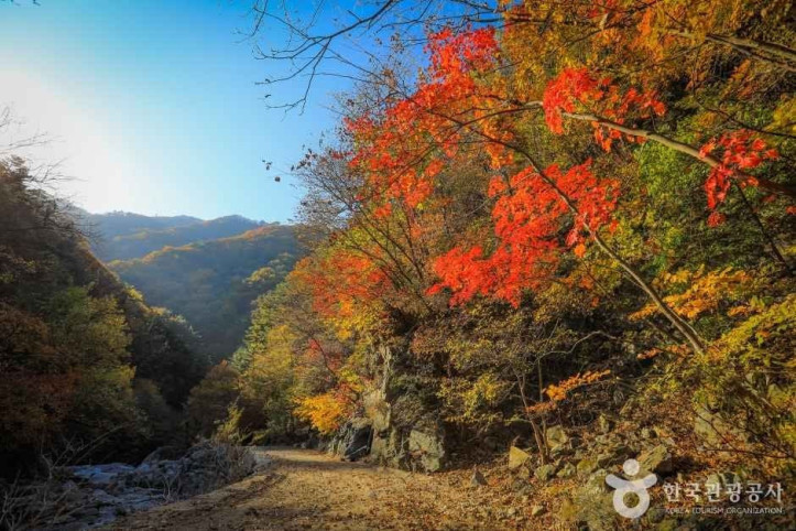 미천골계곡 여행 추천 - 메고지고