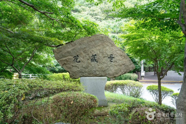 화장골 계곡 여행 추천 - 메고지고
