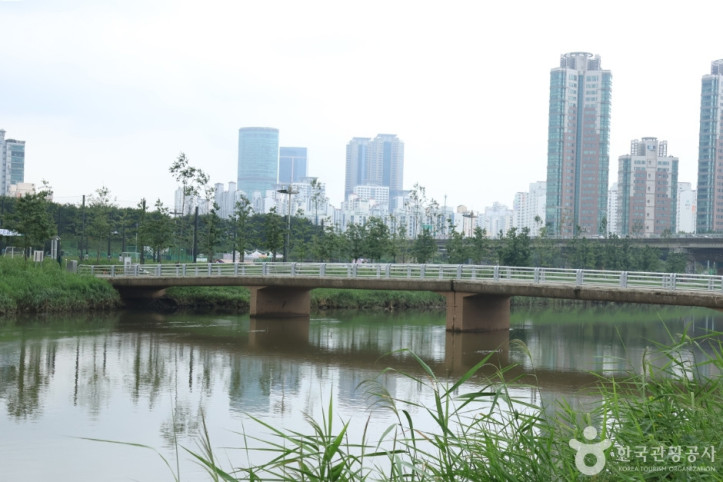 안양천가족정원 여행 추천 - 메고지고