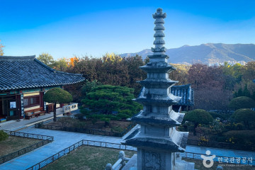 이월드 여행 추천 - 메고지고