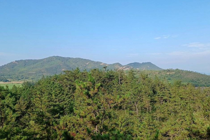 팔금도 여행 추천 - 메고지고