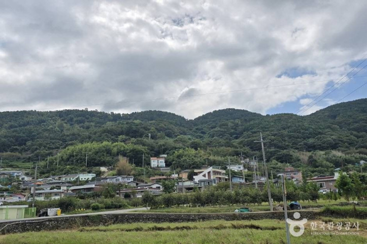 왕지등대마을 여행 추천 - 메고지고