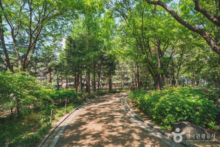 도산공원 여행 추천 - 메고지고