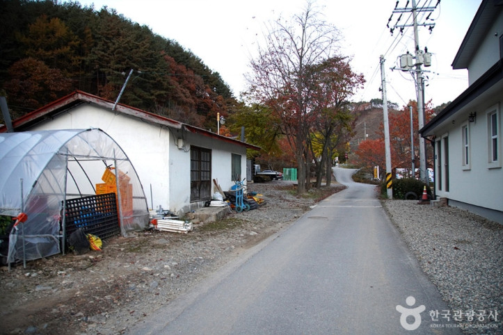 홍천 살둔마을 여행 추천 - 메고지고