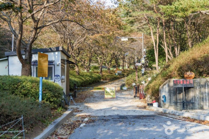 명지계곡 여행 추천 - 메고지고