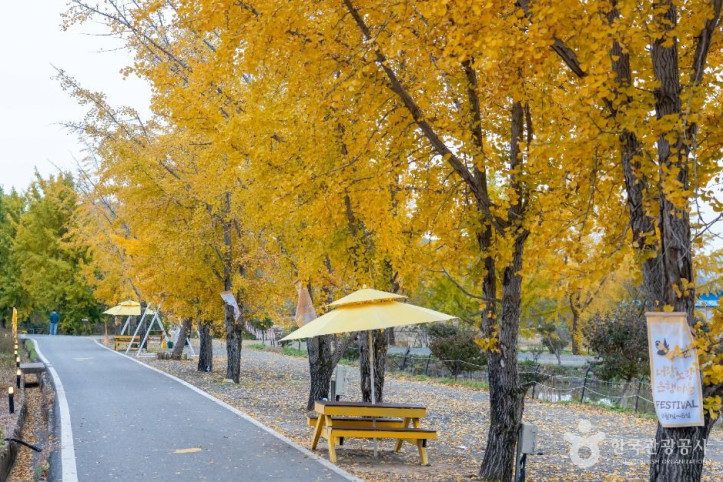 청라 은행마을 (보령) 여행 추천 - 메고지고
