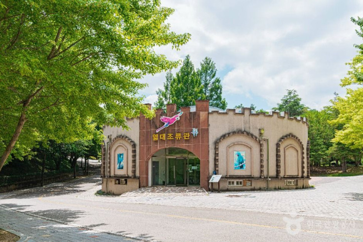광주 우치공원 동물원 여행 추천 - 메고지고