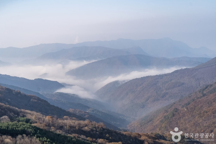 청옥산전망대 여행 추천 - 메고지고