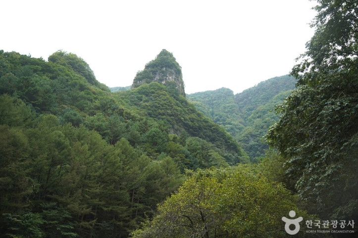 덕항산 여행 추천 - 메고지고