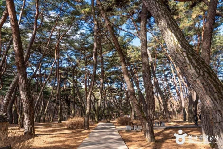 영월 청령포 여행 추천 - 메고지고