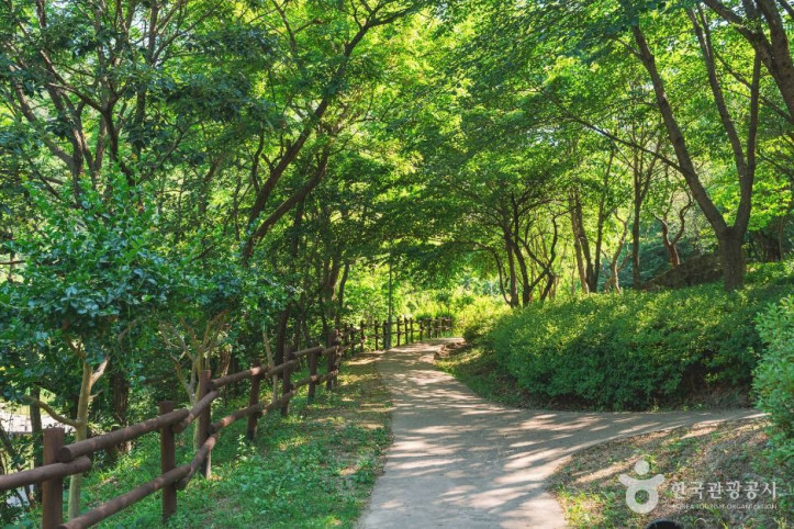 진밭골산림공원 여행 추천 - 메고지고
