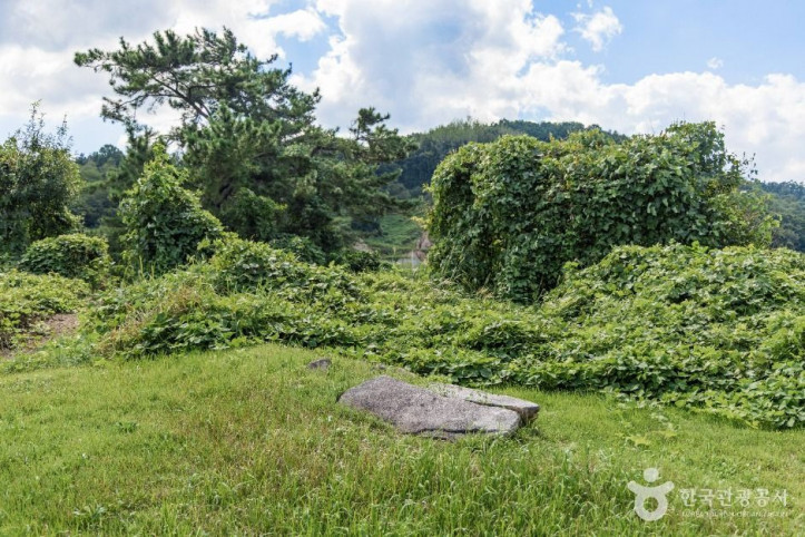 금산 천내리 용화리 고인돌 여행 추천 - 메고지고
