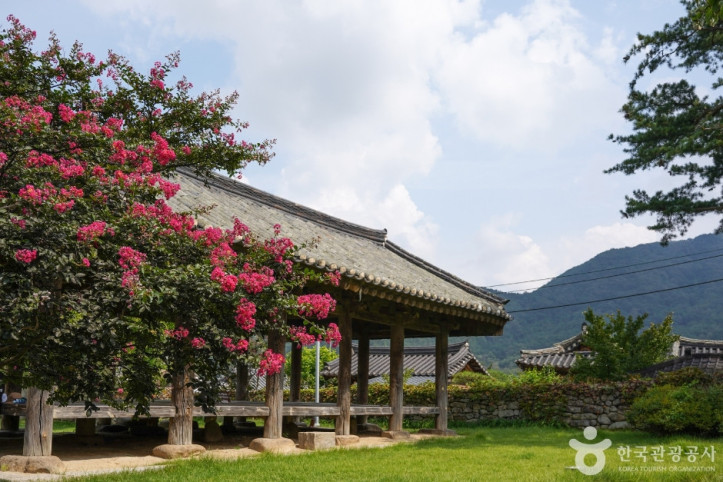 한밤마을돌담길 여행 추천 - 메고지고