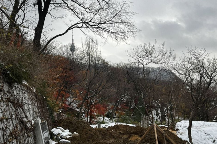 남산인권숲 여행 추천 - 메고지고