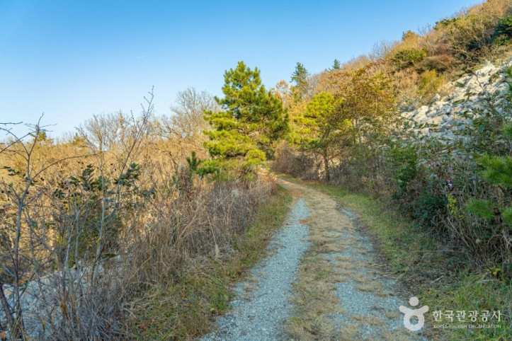 달마고도 여행 추천 - 메고지고