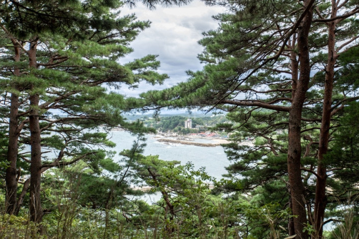 죽도정·죽도 전망대 여행 추천 - 메고지고