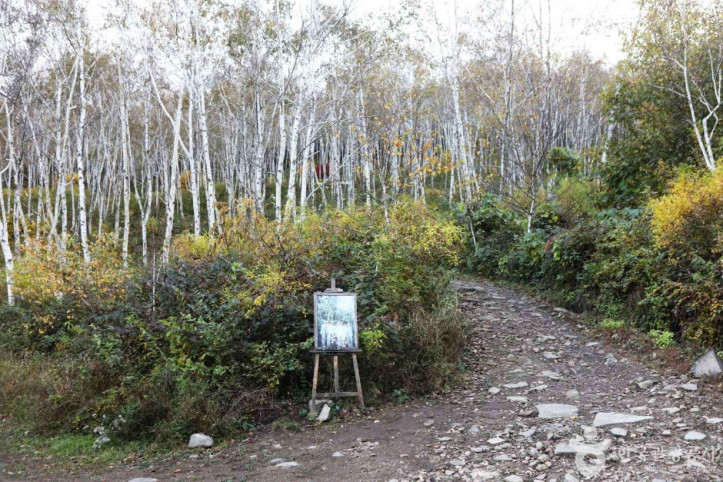 서후리숲 여행 추천 - 메고지고
