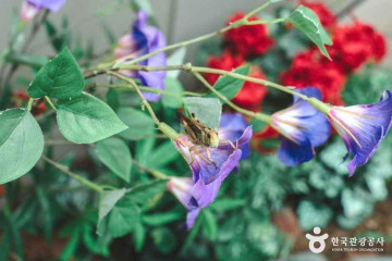 연암지질생태공원 여행 추천 - 메고지고
