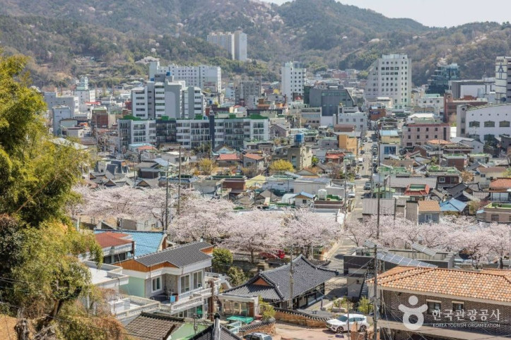 공마당둘레길 여행 추천 - 메고지고