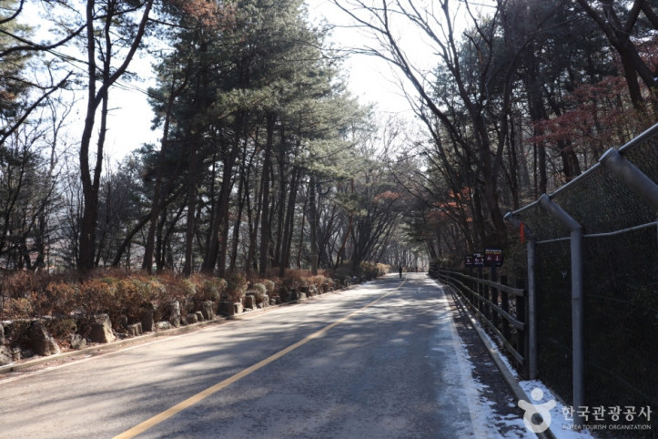 관악산자연공원 여행 추천 - 메고지고