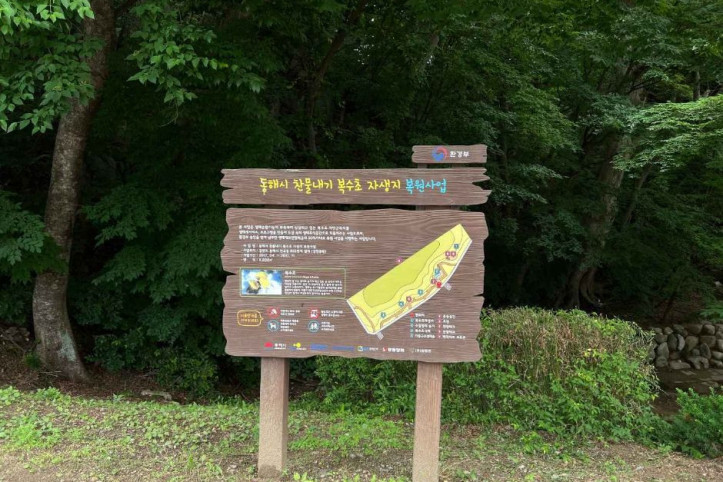 냉천공원 여행 추천 - 메고지고