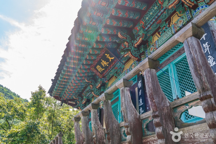 반야사 여행 추천 - 메고지고