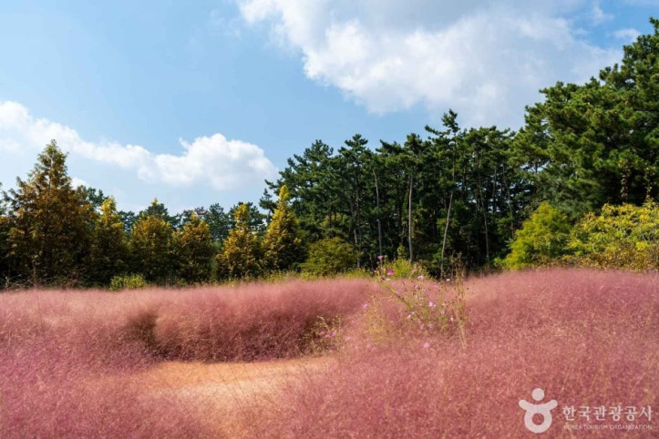 청산수목원 여행 추천 - 메고지고