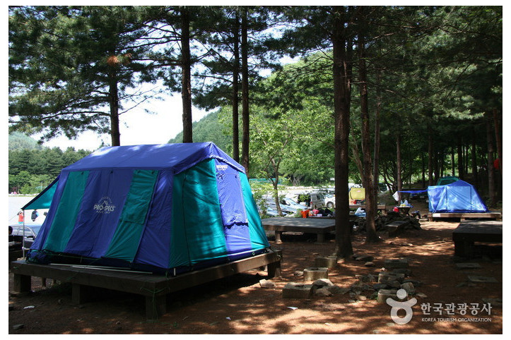국립 유명산자연휴양림 여행 추천 - 메고지고