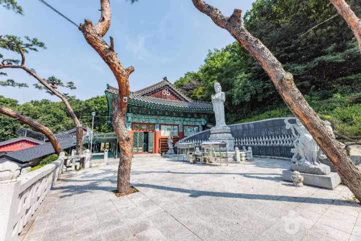 호불사 여행 추천 - 메고지고