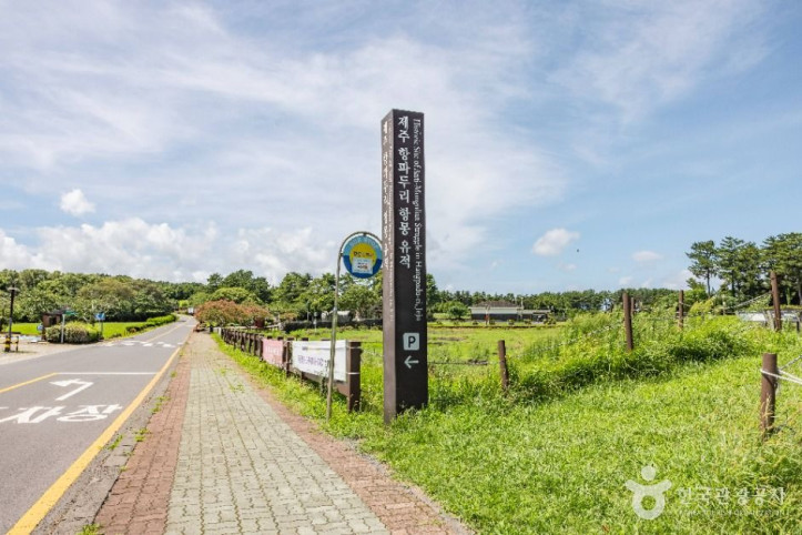 제주 항파두리 항몽 유적 여행 추천 - 메고지고