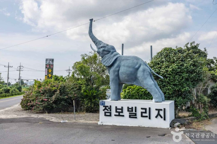 점보빌리지 여행 추천 - 메고지고