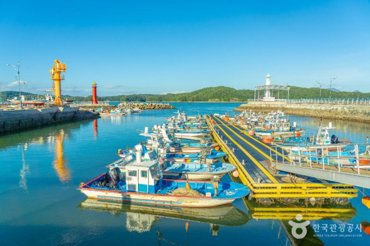 술상 전어마을 여행 추천 - 메고지고
