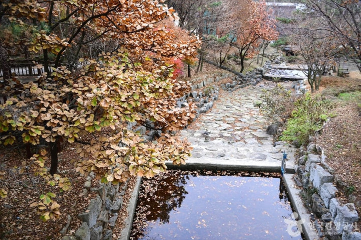 흑석산 자연휴양림 여행 추천 - 메고지고