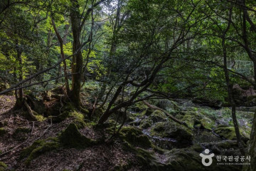 걸시오름 여행 추천 - 메고지고