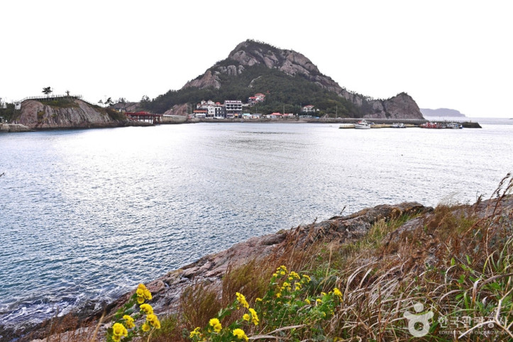 장자도 여행 추천 - 메고지고