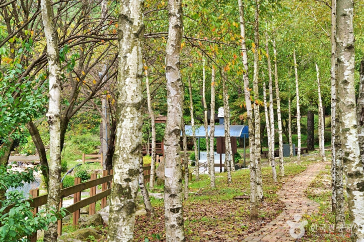 박달재자연휴양림 여행 추천 - 메고지고