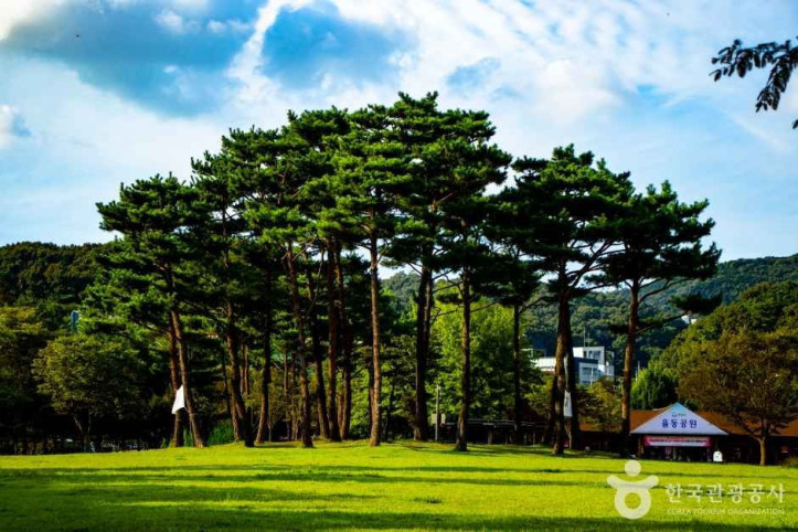 율동공원 여행 추천 - 메고지고