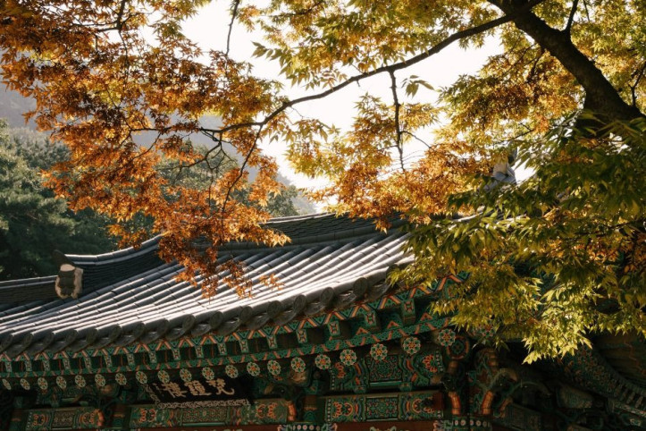 호압사(서울) 여행 추천 - 메고지고