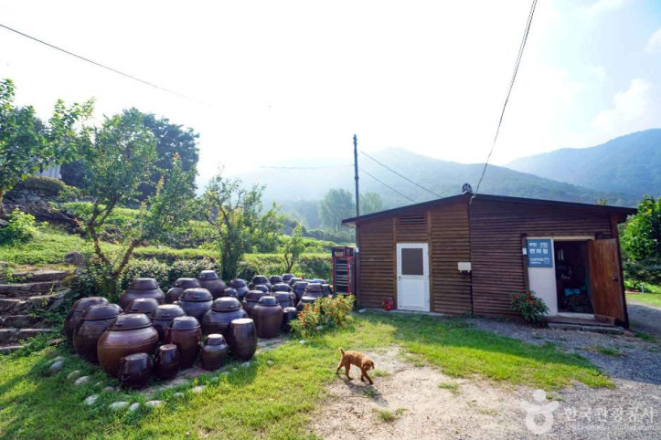 부재산방 여행 추천 - 메고지고