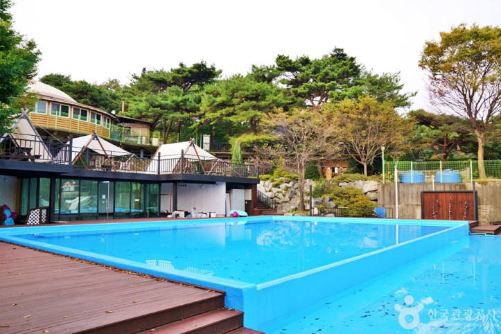 보광산관광농원 여행 추천 - 메고지고