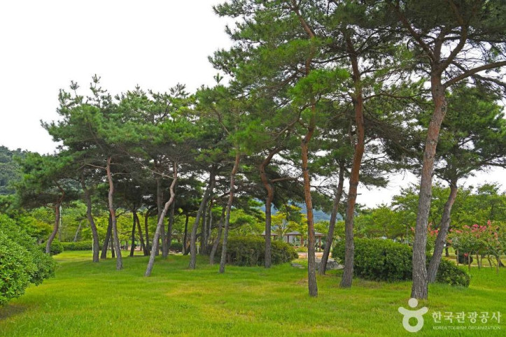 한마음공원 여행 추천 - 메고지고