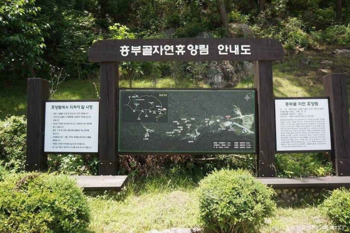 흥부골자연휴양림 여행 추천 - 메고지고
