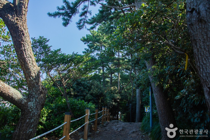 서귀포해양도립공원 여행 추천 - 메고지고
