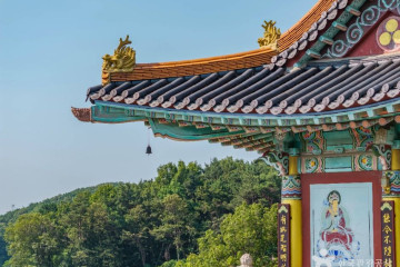수도권매립지 드림파크 야생화단지 여행 추천 - 메고지고