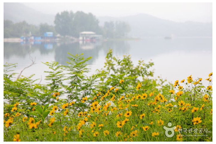하중도수변생태공원 여행 추천 - 메고지고