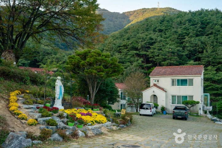 성모솔숲마을 여행 추천 - 메고지고