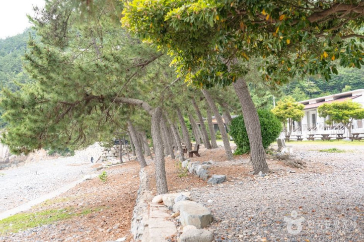 염포해수욕장 여행 추천 - 메고지고