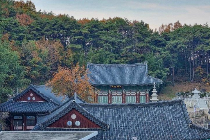 대법사(밀양) 여행 추천 - 메고지고