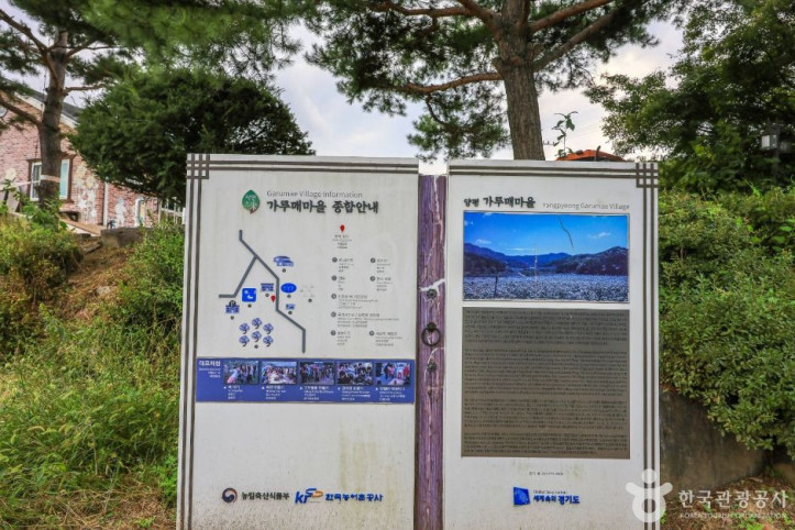가루매마을 여행 추천 - 메고지고