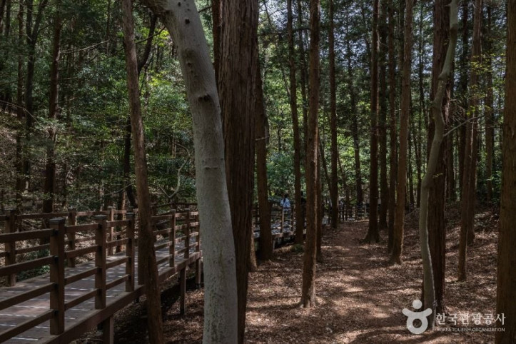 성지곡수원지 여행 추천 - 메고지고